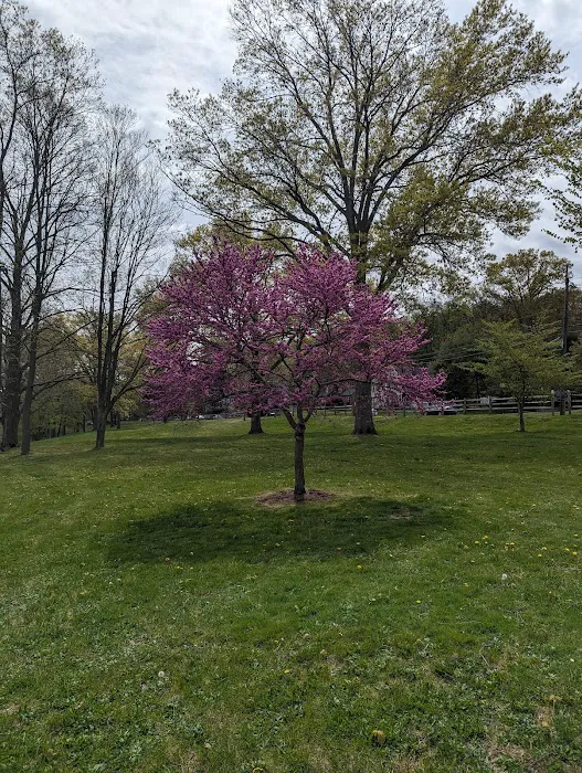 Goffle Brook Park Picture 9
