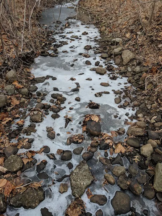 Wyckoff Community Park Picture 10