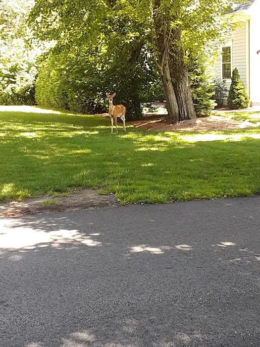 Wyckoff Community Park Picture 3