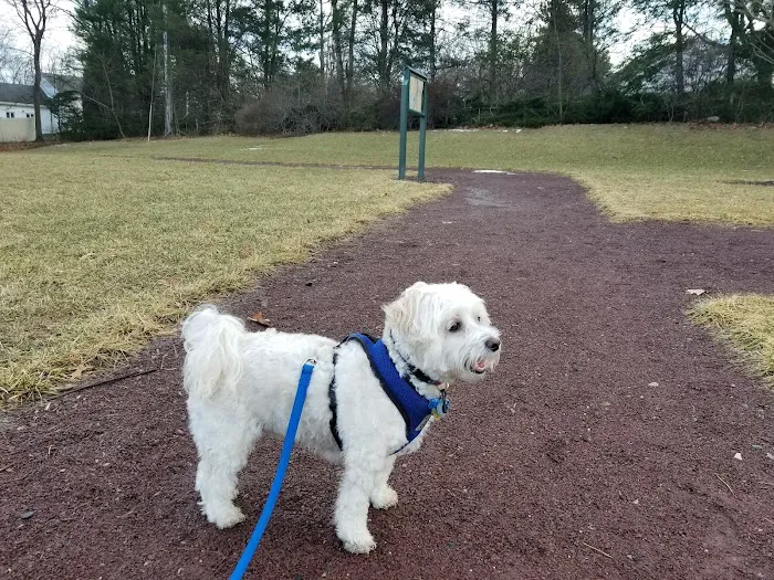 Russell Farms Community Park Picture 4