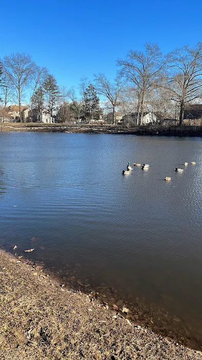 Goffle Brook Dog Park Picture 3