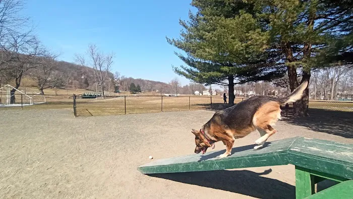 Goffle Brook Dog Park Picture 8
