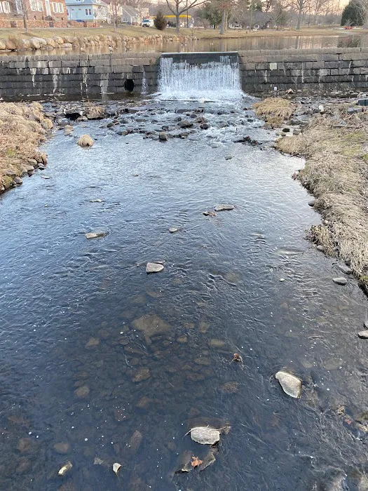 Goffle Park Picture 7
