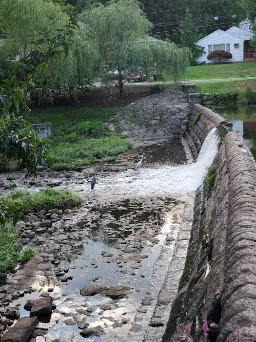 Goffle Park Picture 9