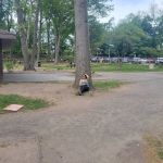 Hawthorne-Park-Parking
