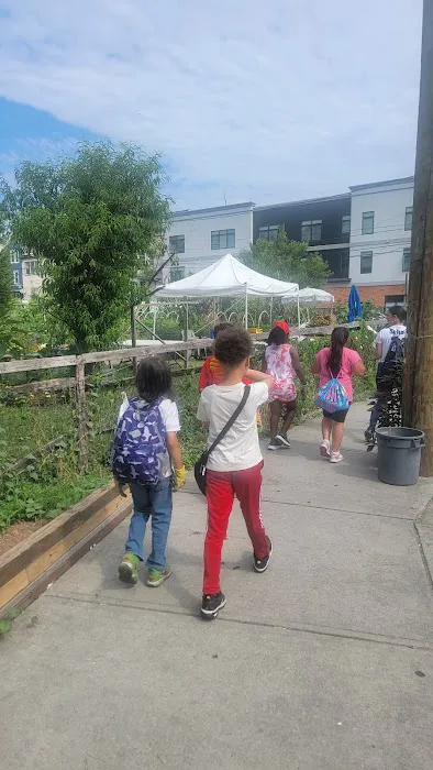 Green Acre Community Garden Picture 5
