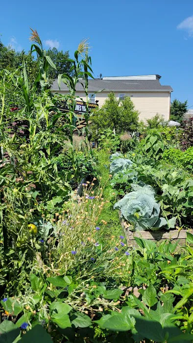 Green Acre Community Garden Picture 8