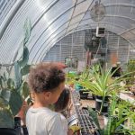Green Acre Community Garden