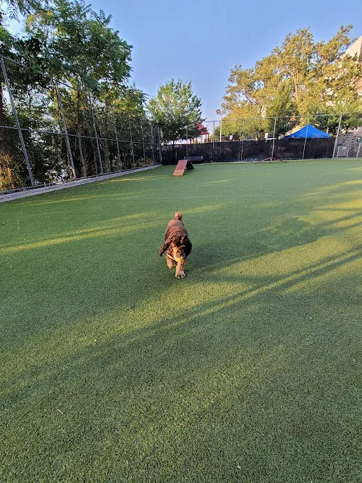 West New York Dog Park Picture 7