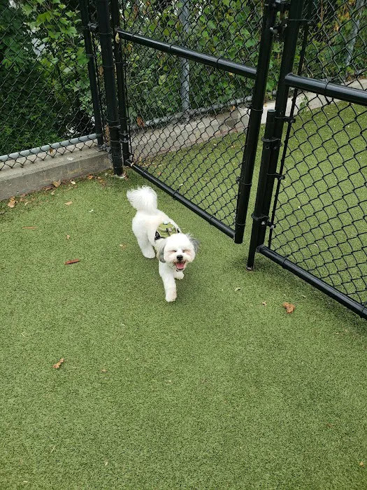 West New York Dog Park Picture 5