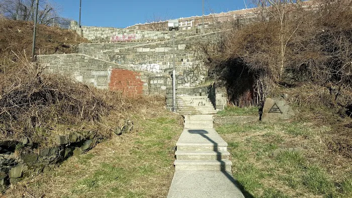 Patricia McEldowney Field Picture 2