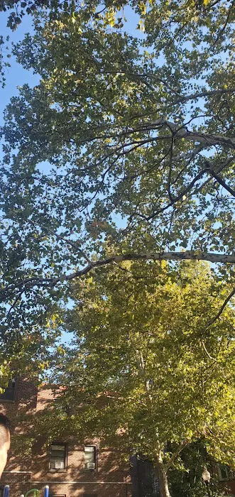 50th Street Park Picture 3