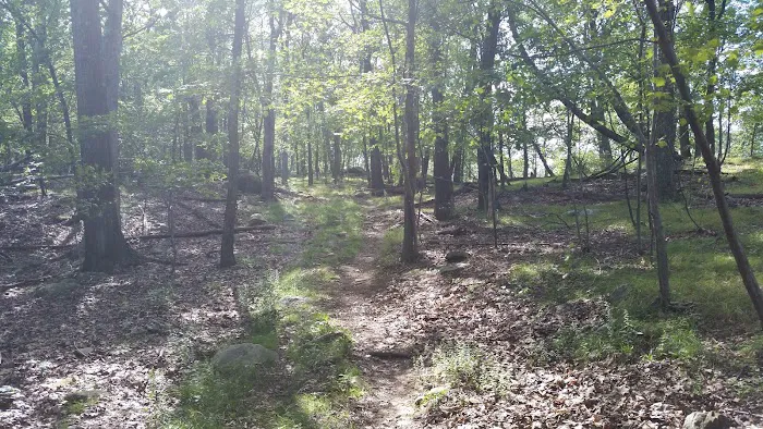 South Mountain County Park Picture 10
