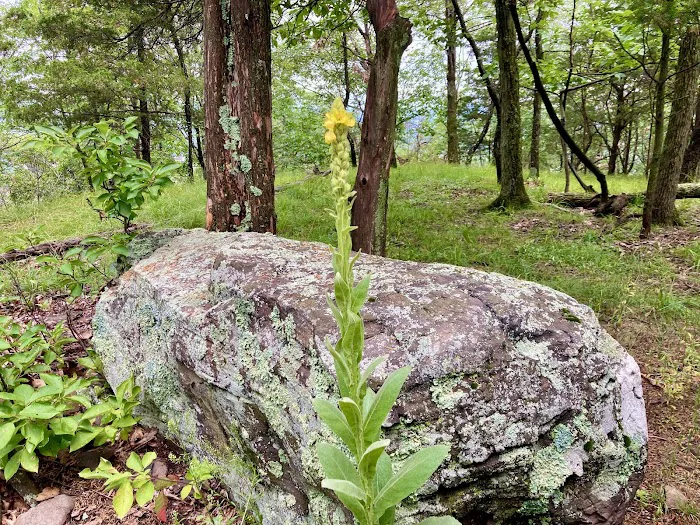 South Mountain County Park Picture 8