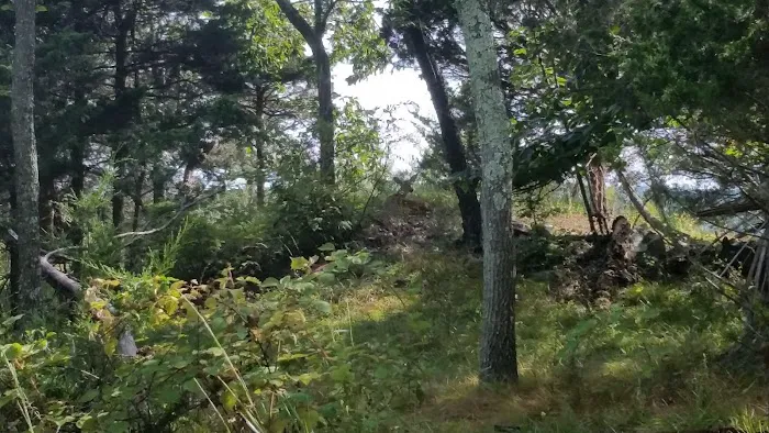 South Mountain County Park Picture 9