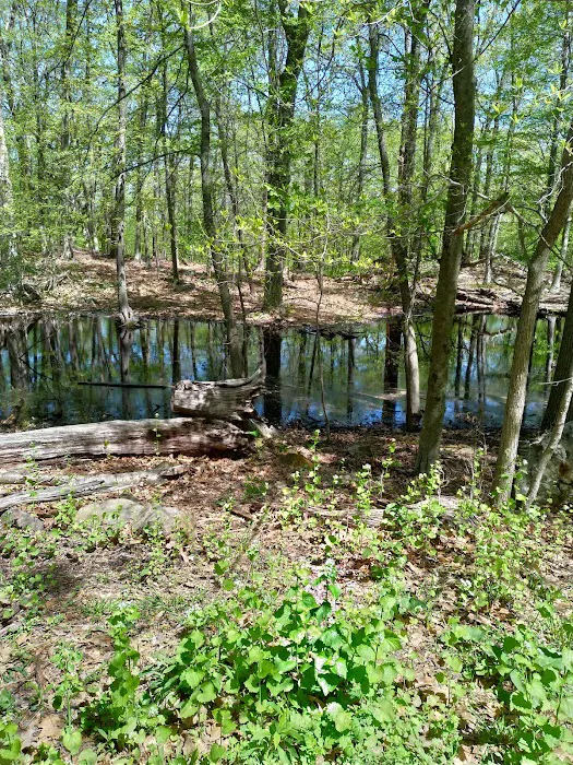 South Mountain County Park Trailhead Picture 3