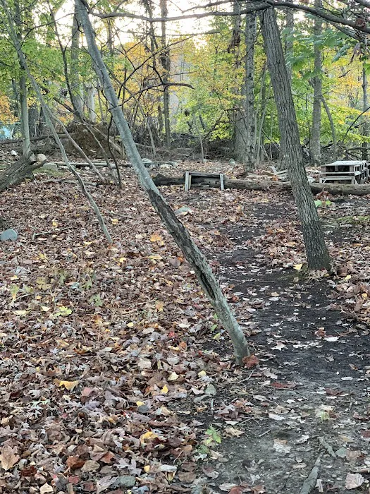 Bogart’s Red Fuse Bike Trail Picture 8