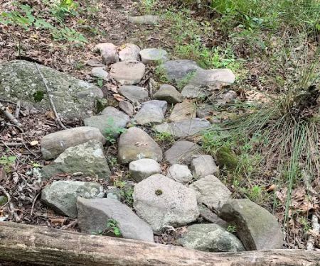 Bogart’s Red Fuse Bike Trail