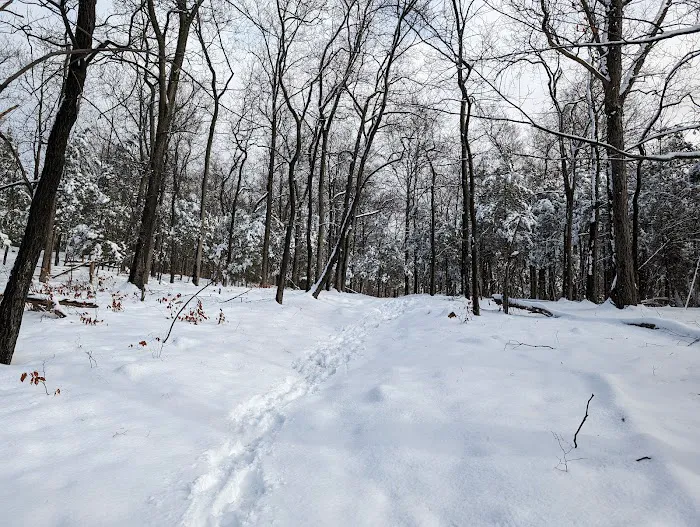 Gurnee Park & Amphitheater Picture 8