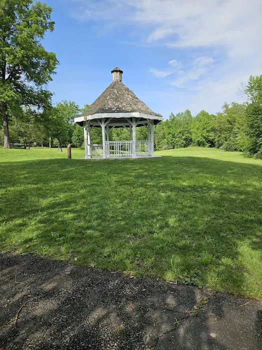 Willow Tree Town Park Picture 6