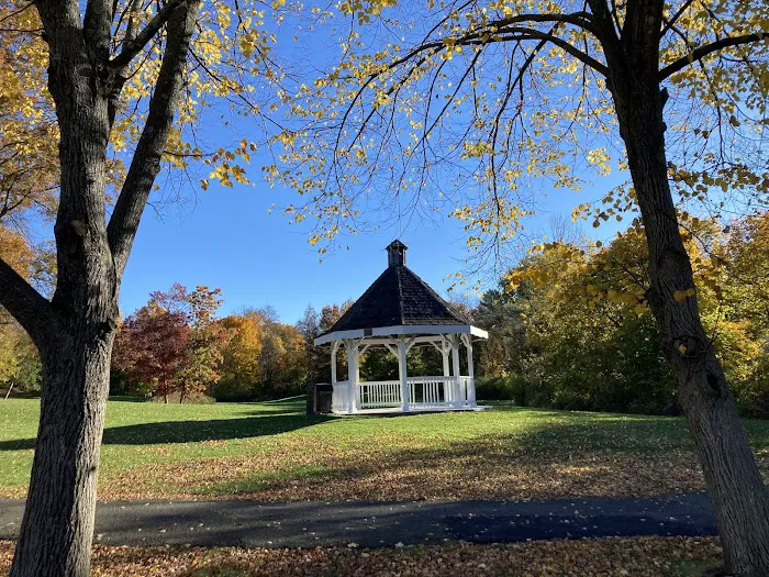 Willow Tree Town Park Picture 9