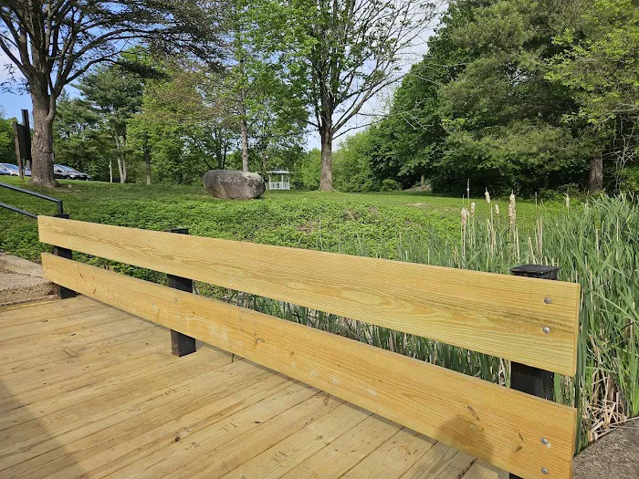 Willow Tree Town Park Picture 7