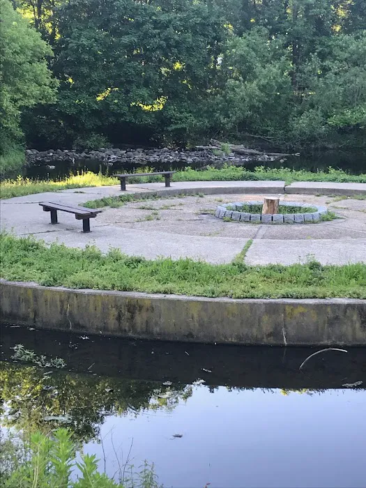 Willow Tree Town Park Picture 5