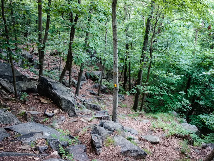 Nordkop Mountain Picture 9