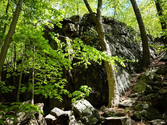Nordkop Mountain Picture 7