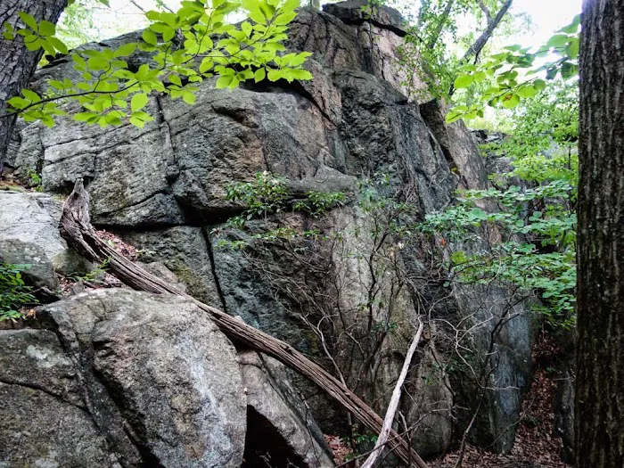 Nordkop Mountain Picture 2