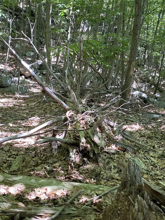 Suffern - Bear Mountain Trailhead Picture 9