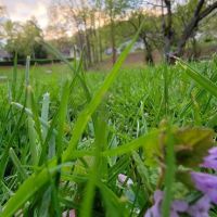 Veterans Memorial Park ico