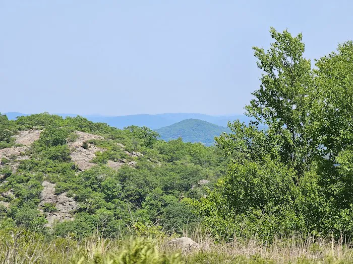 Mountain trail Picture 3