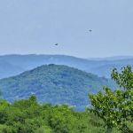 Mountain trail