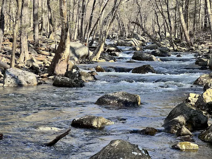 Harriman State Park Picture 6