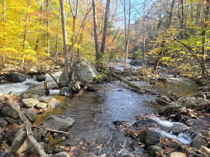 Harriman State Park Picture 8