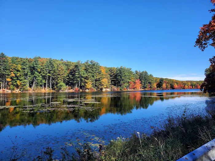 Harriman State Park Picture 7