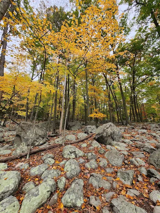Arden-Surebridge / Long Path Trailheads Picture 2