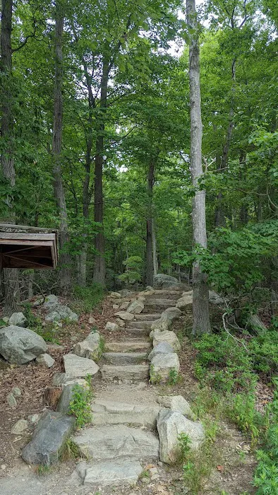 Arden-Surebridge / Long Path Trailheads Picture 8