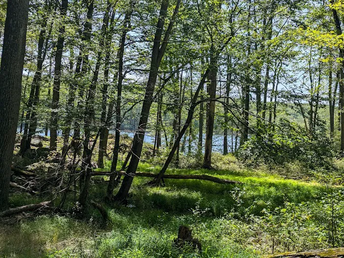 Arden-Surebridge / Long Path Trailheads Picture 9
