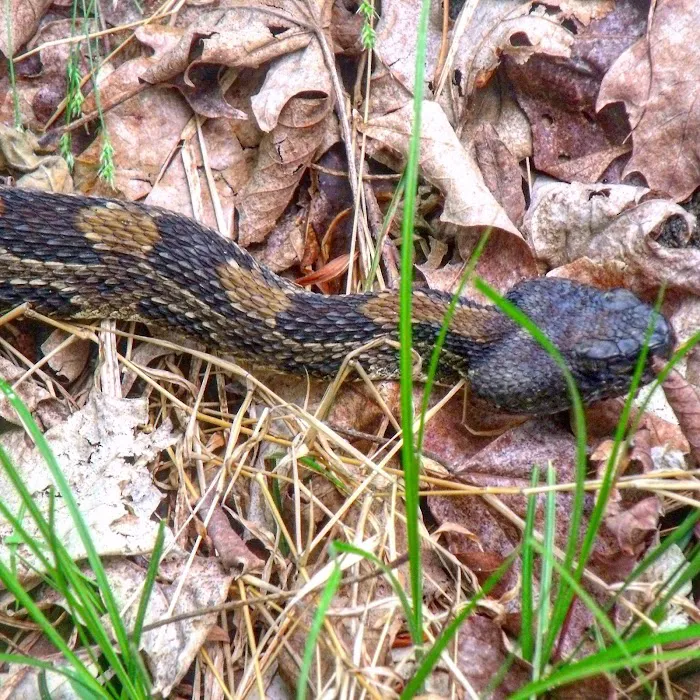 Harriman State Park Picture 6