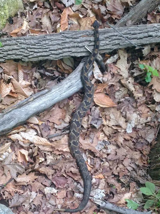 Harriman State Park Picture 5