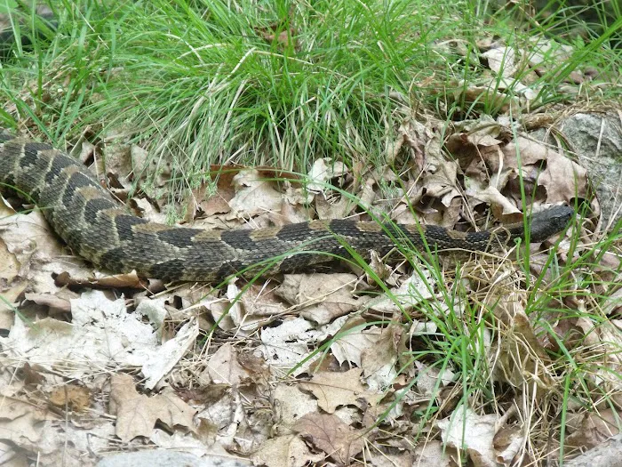 Harriman State Park Picture 7