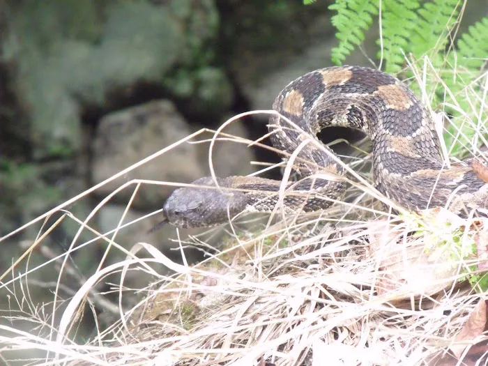 Harriman State Park Picture 1