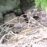 Harriman State Park