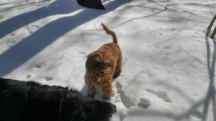 Beech Trail Picture 2
