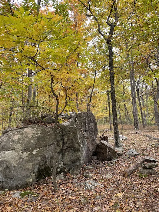 Beech Trail Picture 5