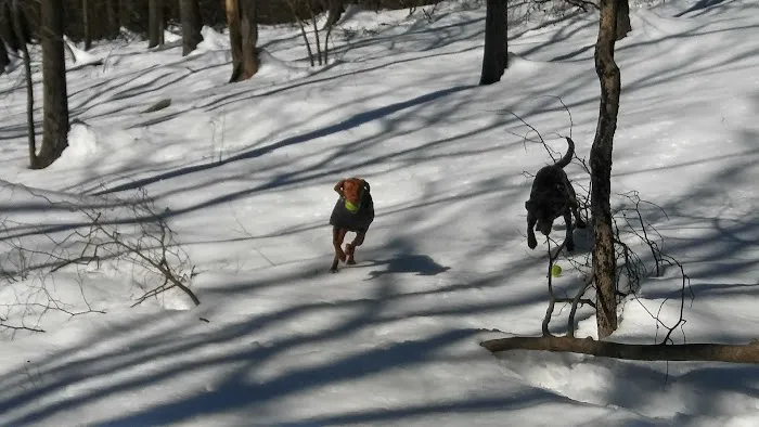 Beech Trail Picture 6