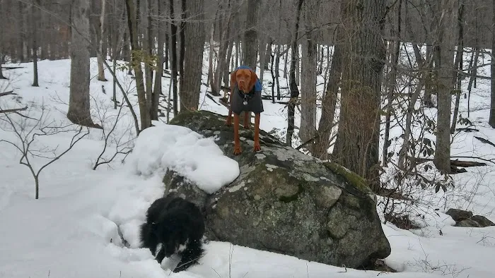 Beech Trail Picture 4