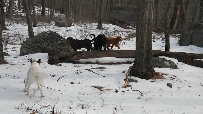 Beech Trail Picture 3